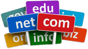 Popular Top Level Domains